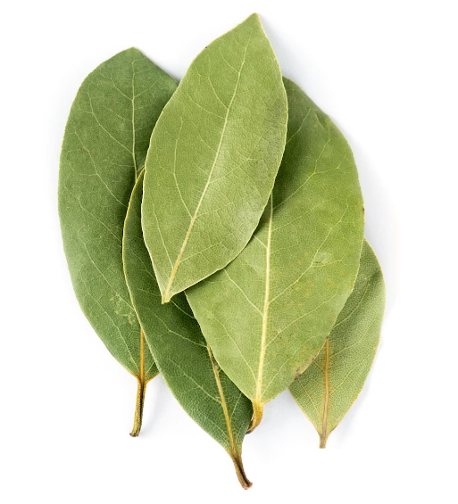 Bay leaves