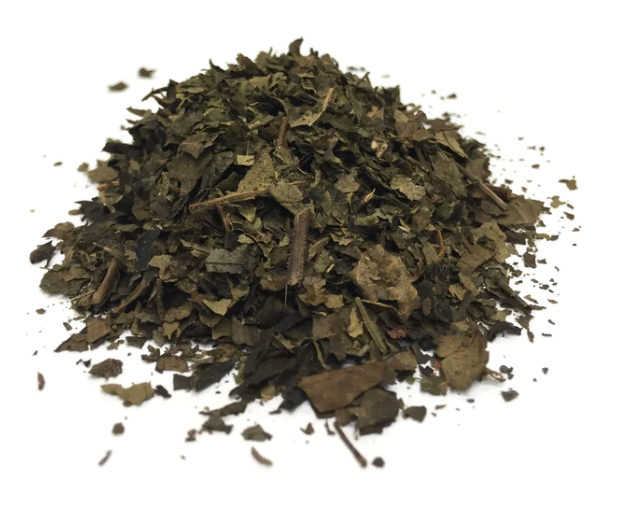 Black Walnut Leaves