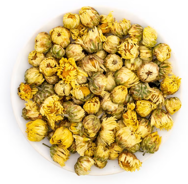 Chrysanthemum