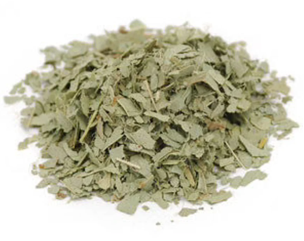 Eucalyptus