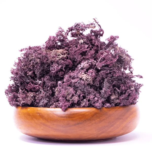 Purple Sea Moss