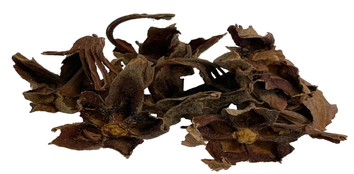 Flor De Manita