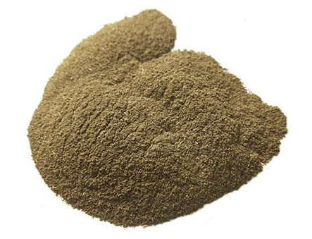 Holy Basil Leaf