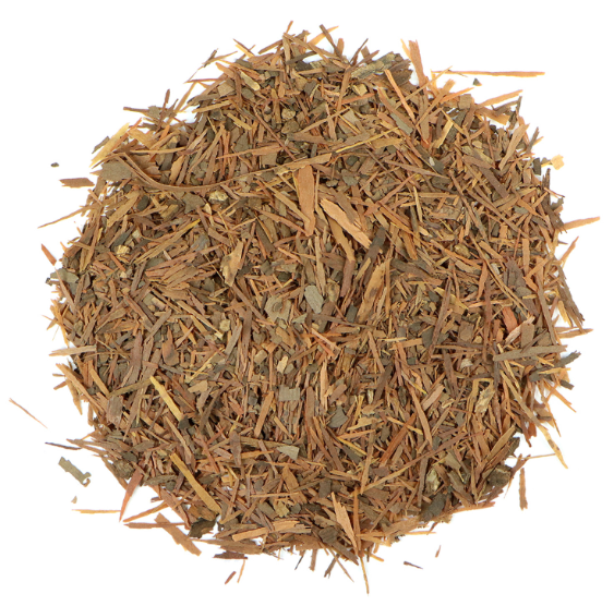 Pau D Arco Root