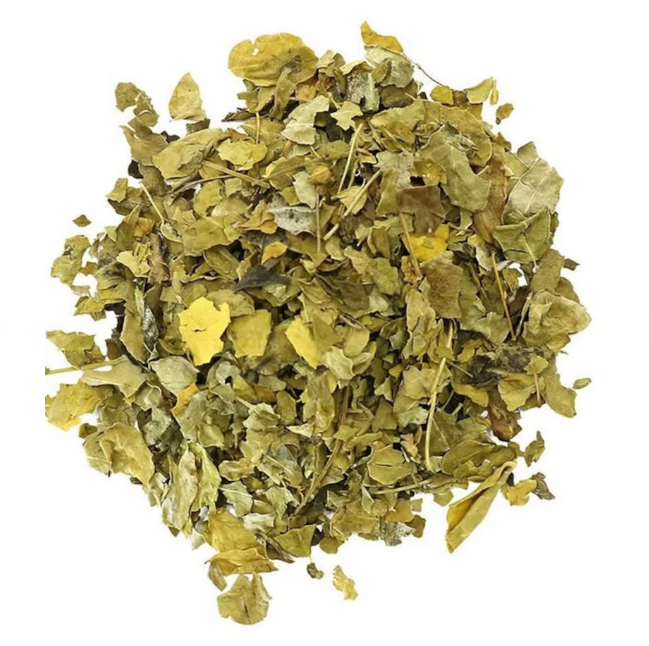 Moringa