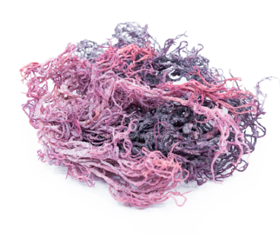 Pink Sea Moss