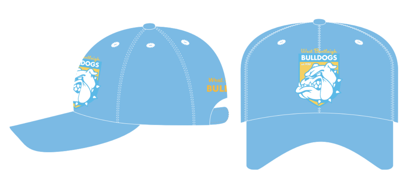 One Day Performance Cap