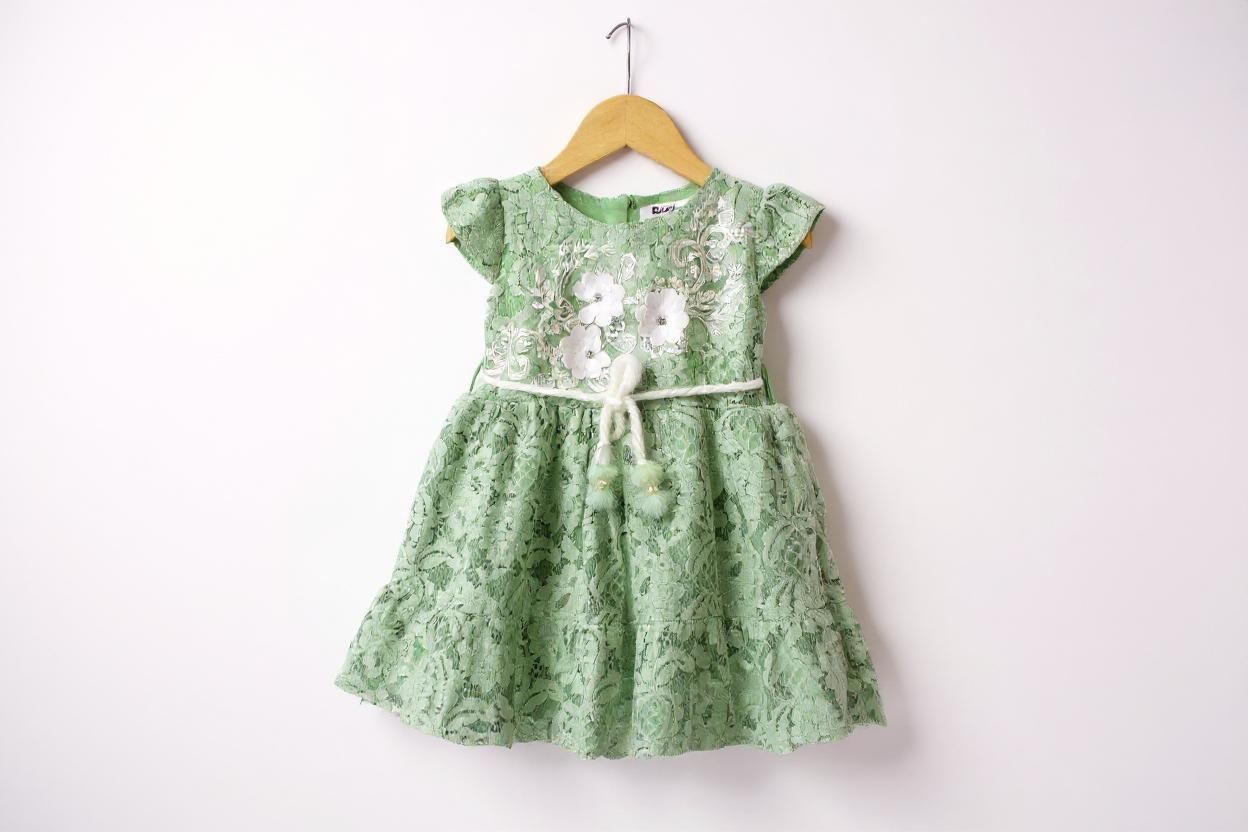 Green Mist Chikan Net Frock