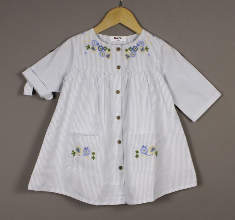 Light Blue Striped Cotton Dress – Embroidered Button-Down Frock