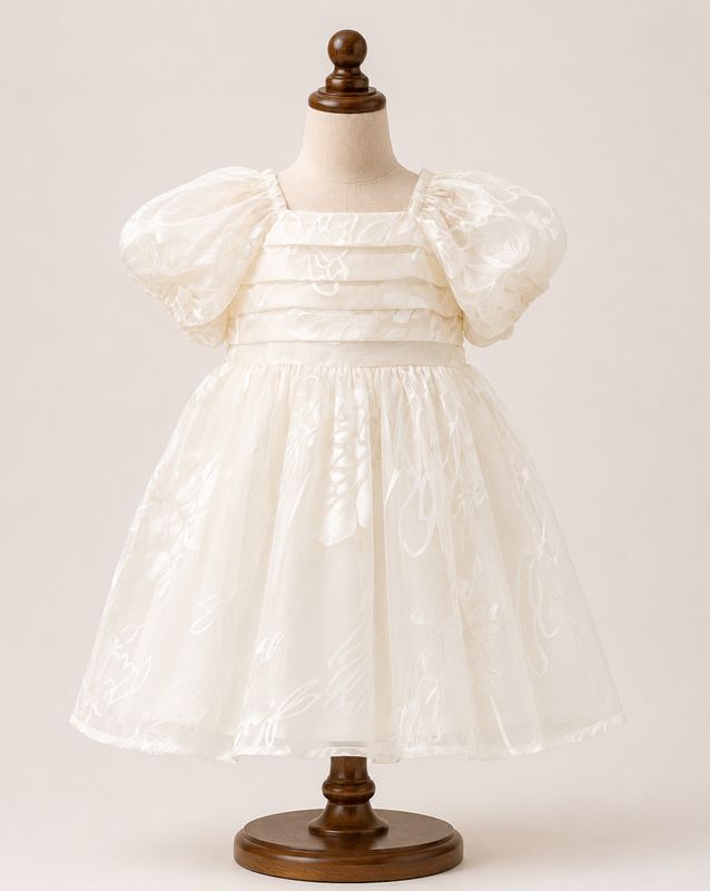 White Organza Party Wear Dress