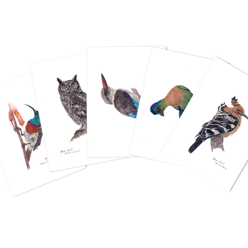 Pack of A6 Greeting Cards (South African Birds 2)