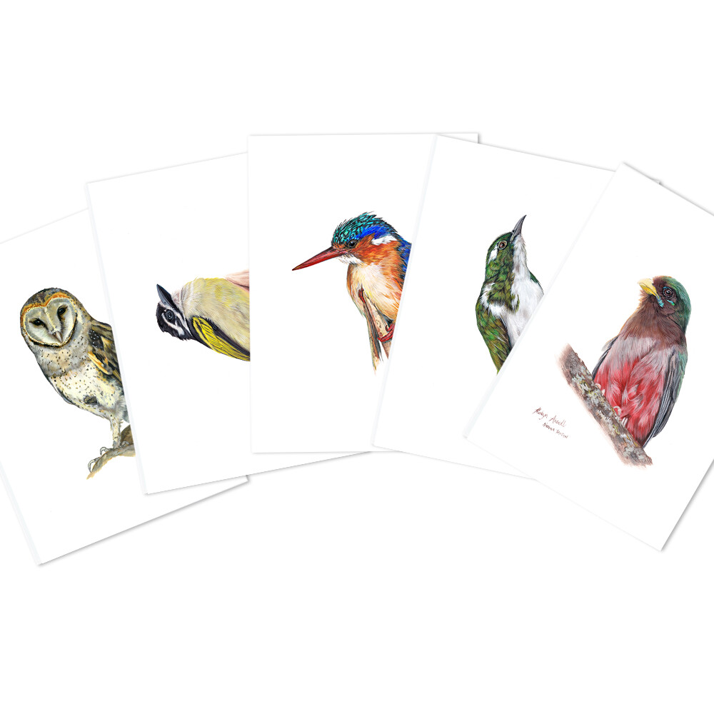 Pack of A6 Greeting Cards (South African Birds 1)