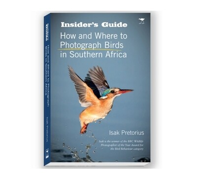 Insider’s Guide to Bird Photography in Southern Africa