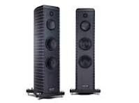 Gauder Akustic DARC 100 (Pair) w Diamond Tweeter, VU Meter, MusicLight, and Double Vision