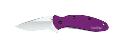Kershaw Scallion 2.25" Assisted Opening Knife Purple, Bead Blast