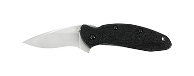 Kershaw Scallion 2.25" Assisted Opening Knife Black GFN, Bead Blast