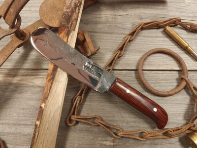 Jeff Owens 5&quot; Beaver Tail Skinner / Cocobolo / Forge Finish 5160