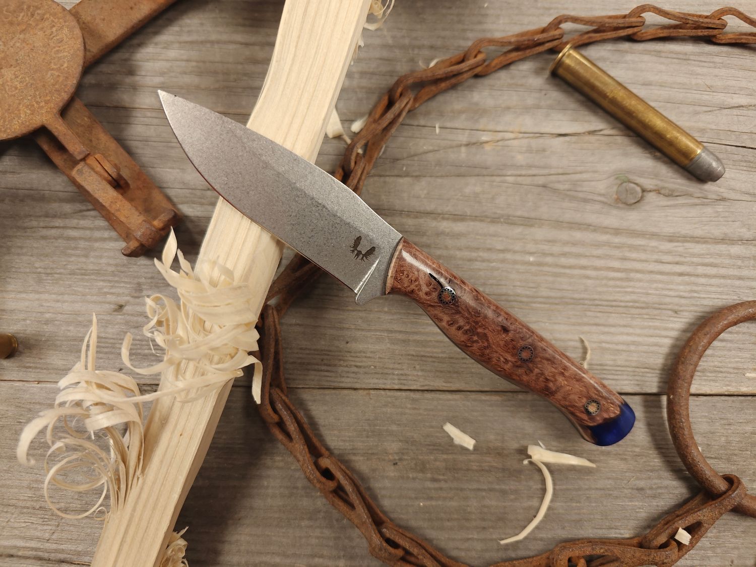 Semper Sharp Spend Your Time Wisely 3.5&quot; Fixed Blade / Maple Burl w/ Blue Resin, Black Liners / Satin Splashed Nitro-V