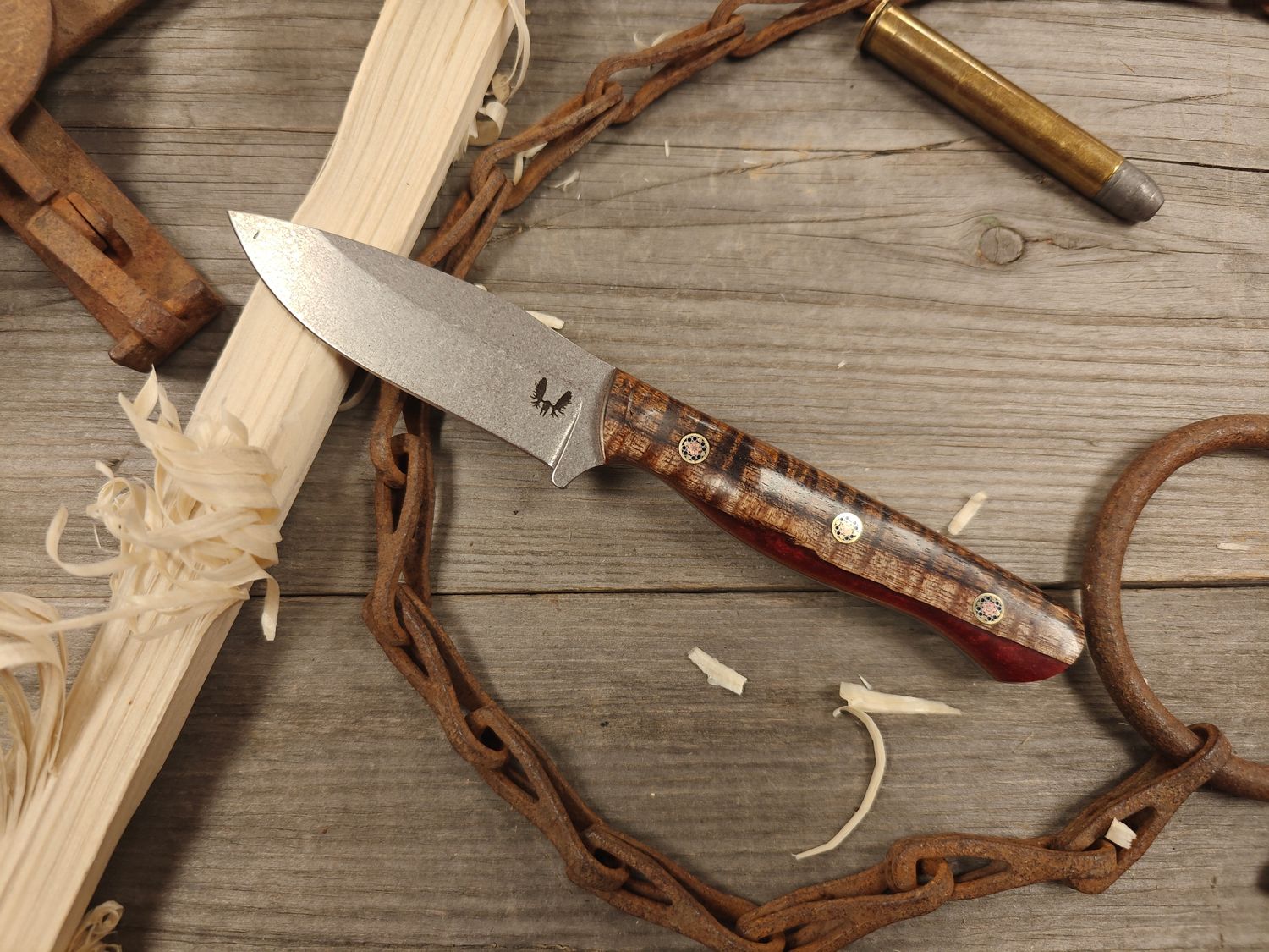 Semper Sharp Spend Your Time Wisely 3.5" Fixed Blade / Curly Hawaiian Koa, Merlot Resin, Micarta Liners / Satin Splash Nitro-V