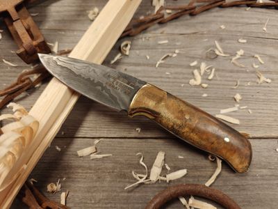 ABE Knives 3.25&quot; Fixed Blade / Birch Burl w/ Brass Bolster / 20 Layer Damascus w/ 80Crv2/15n20