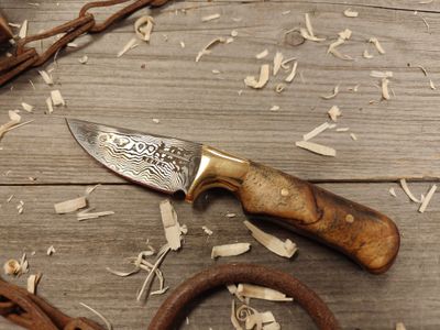 ABE Knives 2.75&quot; Fixed Blade / Birch Burl w/ Brass Bolster / 78 Layer Damascus w/ 80Crv2/15n20