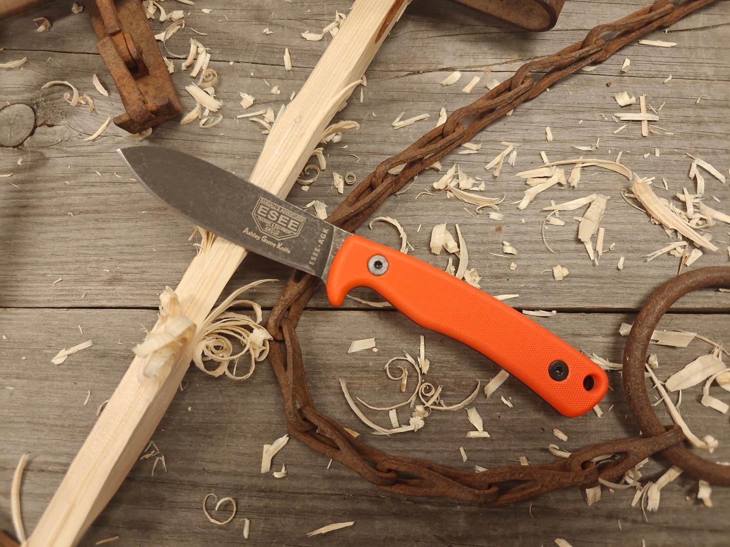 ESEE Knives Ashley Game Knife 3.5&quot; Fixed Blade / Orange &amp; Black G10 / Black Stonewash 1095