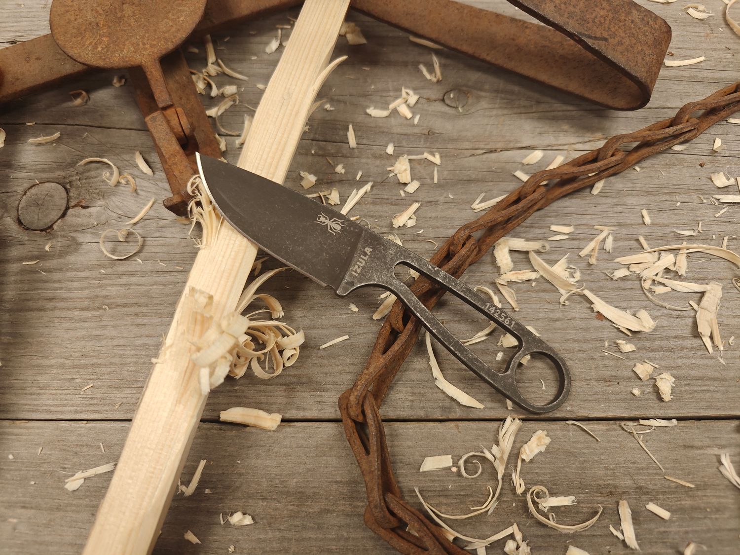 ESEE Knives 2.9&quot; Izula Neck Knife / Skeletonized / Black Oxide 1095