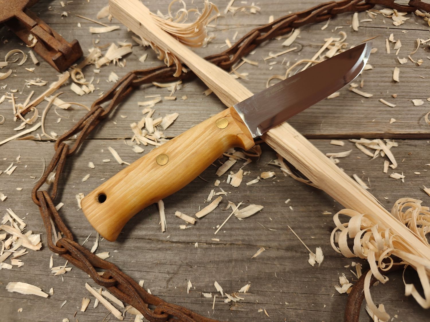 Helle Temagami Les Stroud 4&quot; Fixed Blade / Curly Birch / Mirror Polish 14c28n