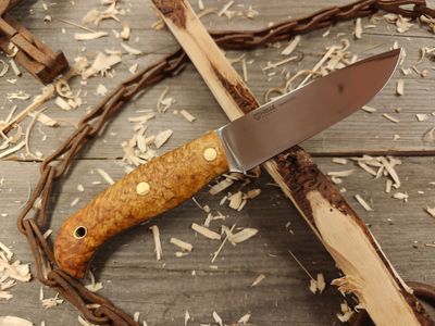 Helle Nordlys Flat Grind 4.8&quot; Fixed Blade / Curly Birch / Satin 12C27N