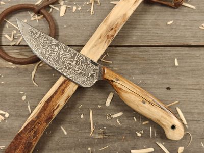 Mark Couch Damascus 5&quot; Fixed Blade / Stabilized Birch Burl / 15N20 &amp; 1080
