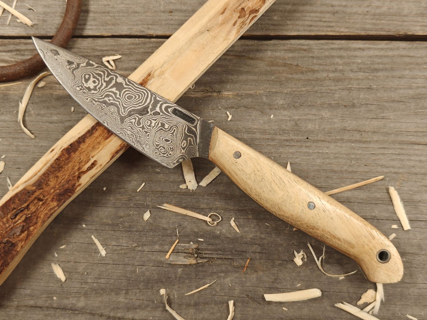 Mark Couch Damascus 3.5&quot; Fixed Blade / Stabilized Birch Burl / 15N20 &amp; 1080