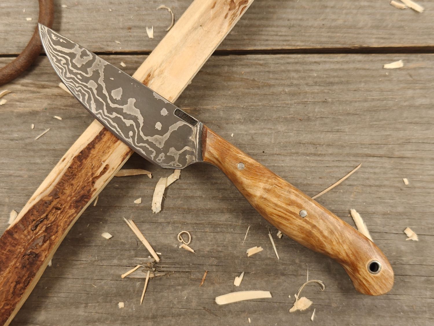 Mark Couch Damascus 3.75&quot; Fixed Blade/ Birch  Burl / 15N20 &amp; 1080