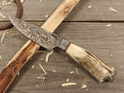 Mark Couch Damascus 4.25&quot; Fixed Blade/ Stag With Damascus Integral Bolster &amp; Pommel / 15N20 &amp; 1080