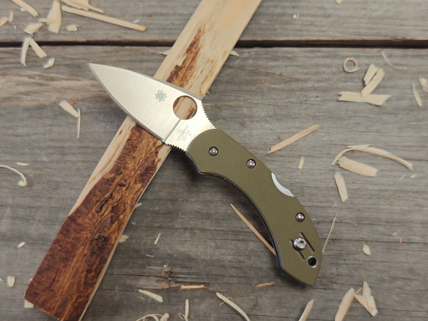 Spyderco Dragonfly 2.25&quot; Folder / Foliage Green G10 / Satin VG10