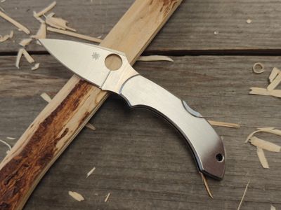 Spyderco Dragonfly 2.3&quot; Lockback Folder / Stainless Steel / Satin VG-10