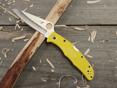 Spyderco Pacific Salt 2 3.5&quot; Lockback Blade / Yellow FRN / Satin H-1