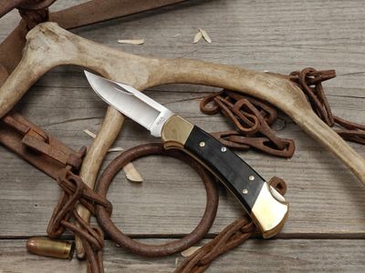 Buck 112 Ranger 3" Lockback Folder / Ebony Wood &amp; Brass / Satin 420HC