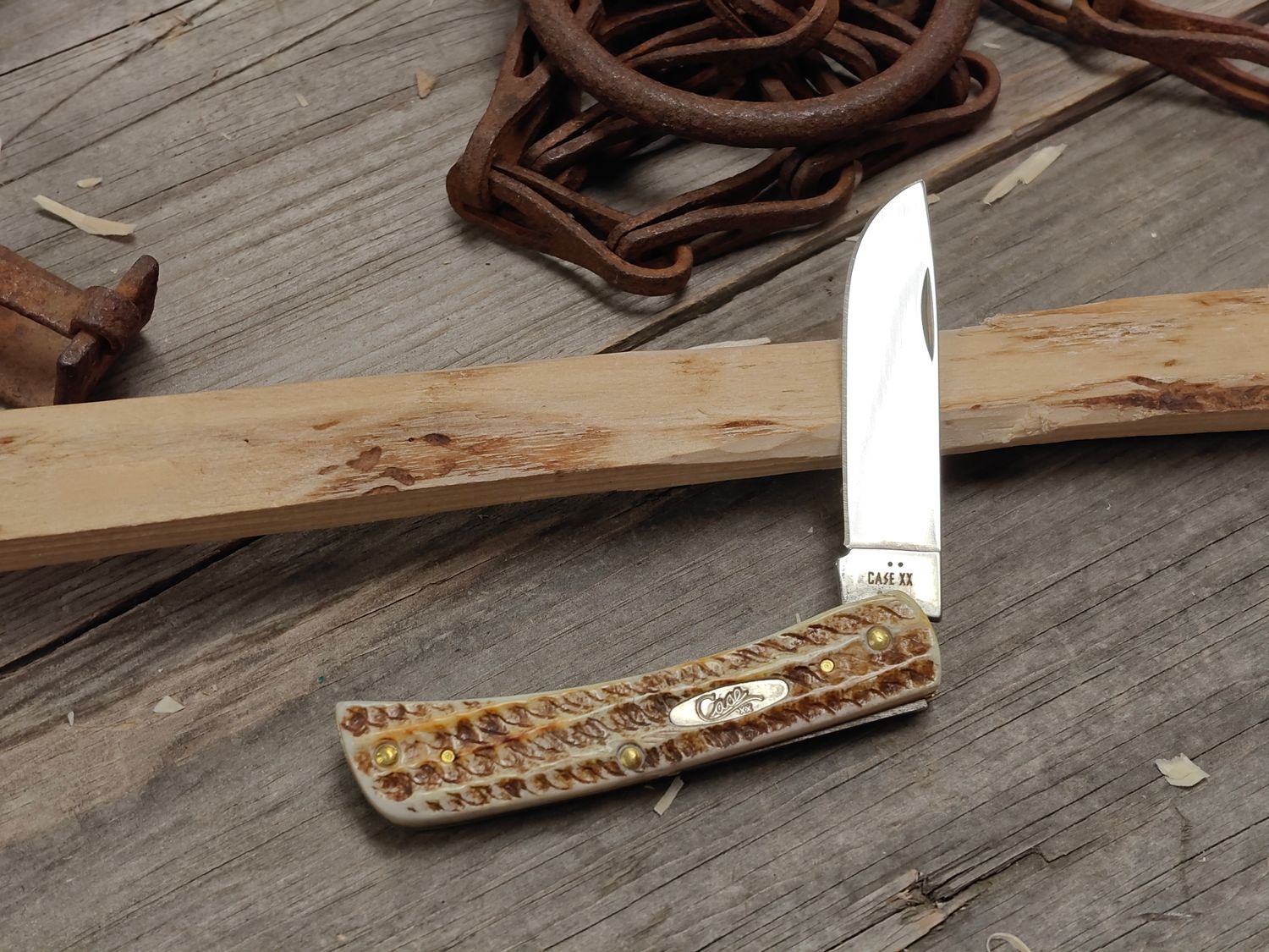 Case SOD Buster Jr. 3.625" Traditional Knife / BoneStag / Polish TRU-Sharp Stainless Steel