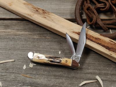 Case Peanut 3" Folding Blades / Stag / Polished Stainless Steel