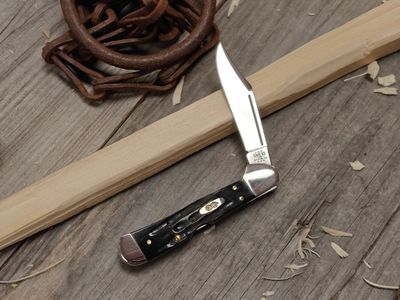 Case Mini CopperLock 3.5" Lockback Blade / Buffalo Horn / Polished Tru-Sharp Stainless Steel