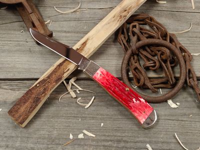 Case Backpocket 3.5" Folding Blade / Red Jigged Bone / Polished Stainless Steel (Pre-Owned)