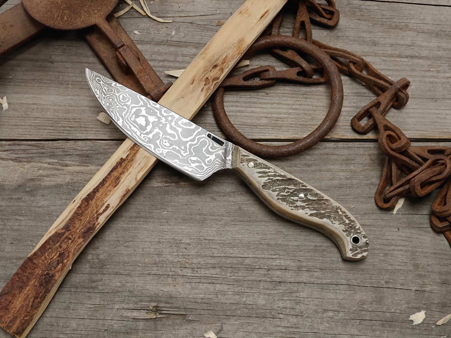 Mark Couch Damascus 4" Fixed Blade / Moose Antler / 15N20 &amp; 1080