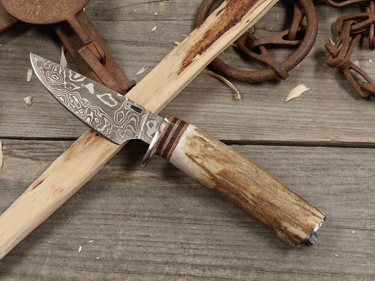 Mark Couch Damascus 3.25" Fixed Blade/ Antlers With Damascus Bolster &amp; Pommel / 15N20 &amp; 1080