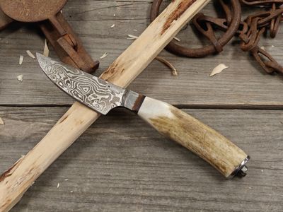 Mark Couch Damascus 3" Fixed Blade/ Antlers With Damascus Integral Bolster &amp; Pommel / 15N20 &amp; 1080