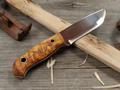 Helle Polaris 3" Fixed Blade / Curly Birch / Mirror Polish 14C28N