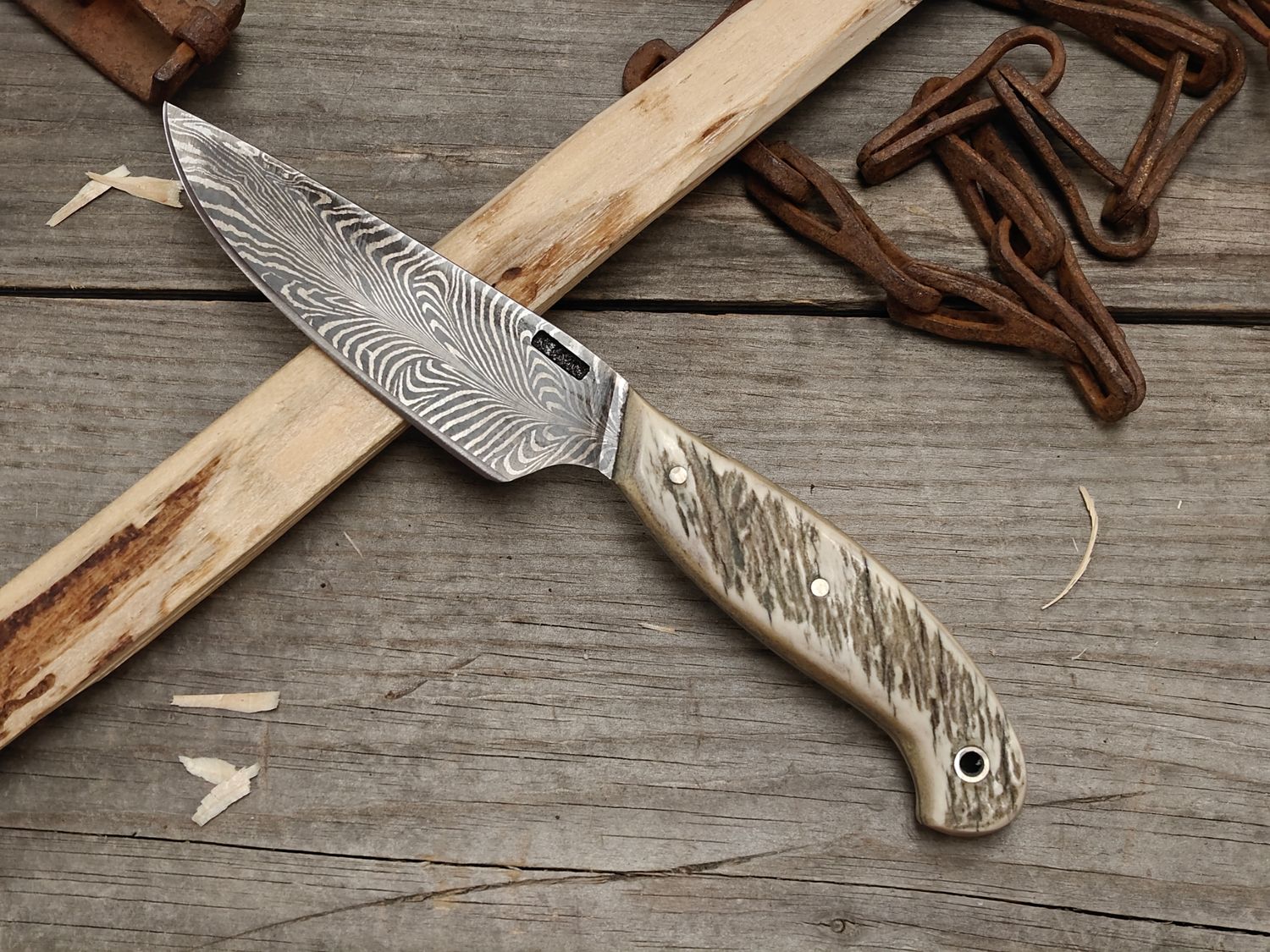 Mark Couch Feather Damascus 4" Fixed Blade / Moose Antler / 15N20 &amp; 1080