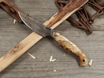 Mark Couch Feather Damascus 3" Fixed Blade / Birch Burl / 15N20 &amp; 1080