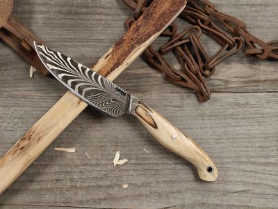 Mark Couch Feather Damascus 4" Fixed Blade / Birch Burl / 15N20 &amp; 1080