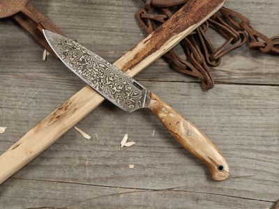 Mark Couch Damascus 4.75" Fixed Blade / Birch Burl / 15N20 &amp; 1080