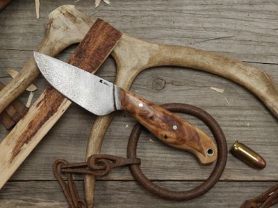 Mark Couch Feather Damascus 3" Fixed Blade / Birch Burl / 15N20 &amp; 1080
